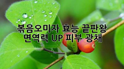 볶음오미자 효능 끝판왕! ✨ 면역력 UP! 피부 광채 ✨
